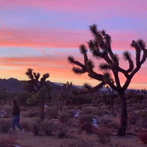 Meet your Posher, Flo